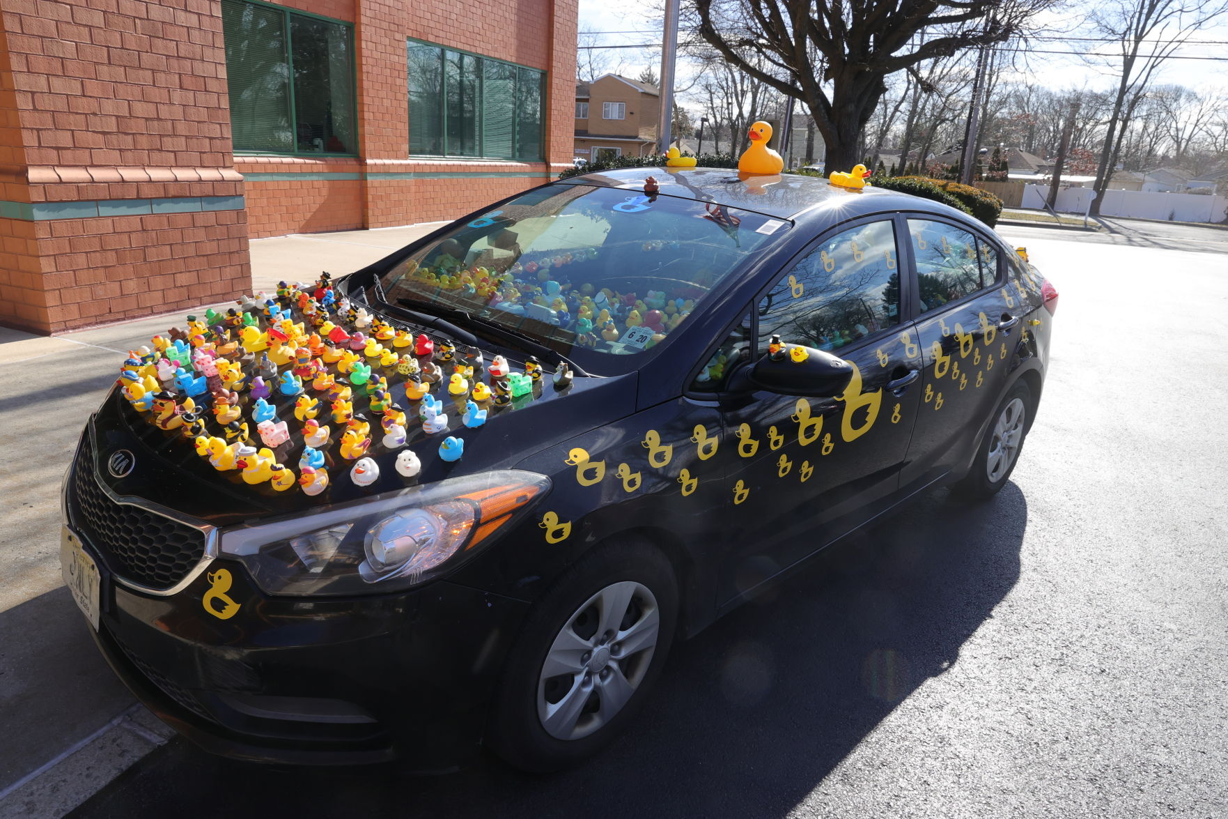 Duck Car